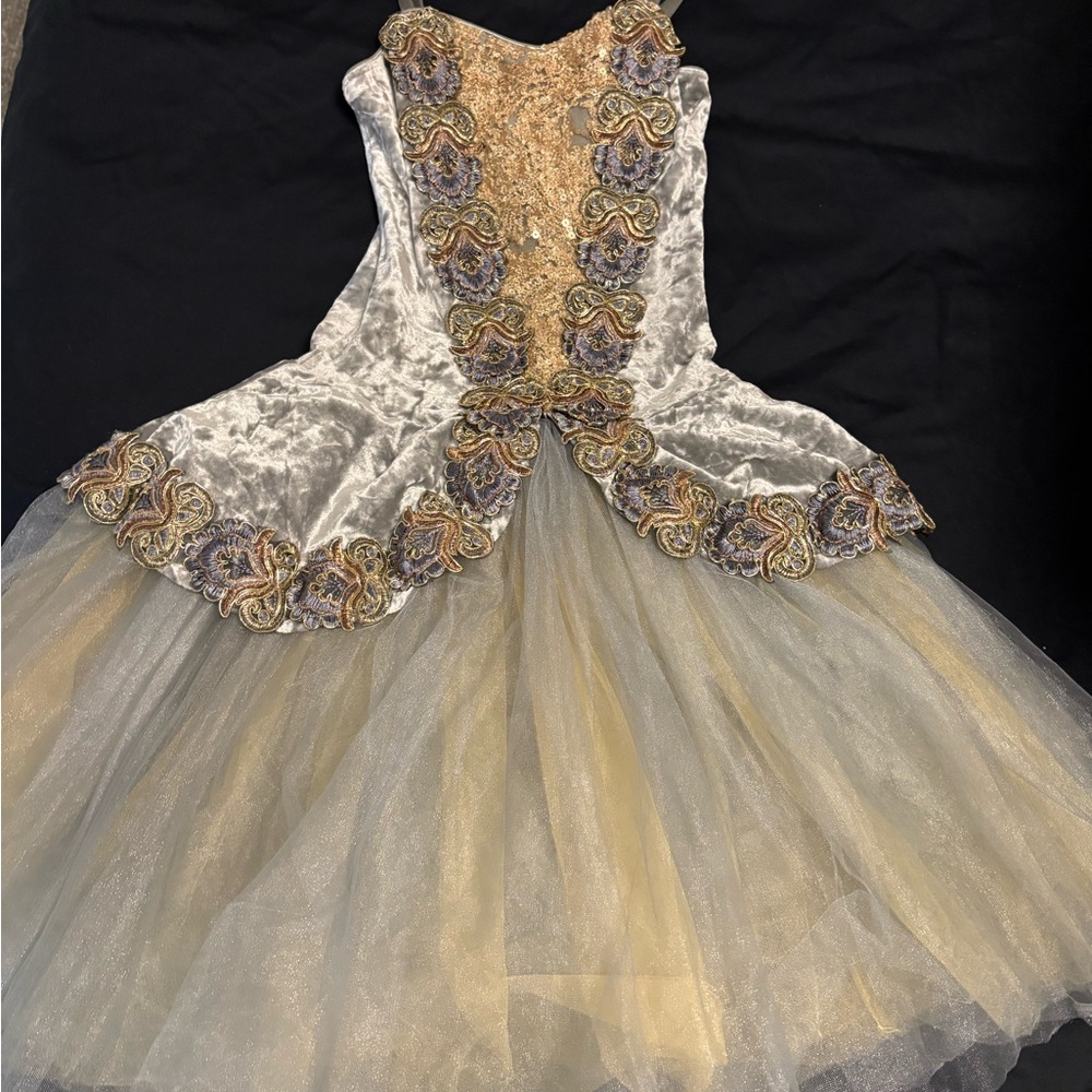 Elegant Gold and Silver Ballet Costume